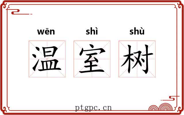 温室树 温室树
