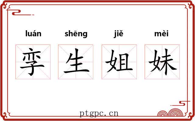 孪生姐妹 孪生姐妹