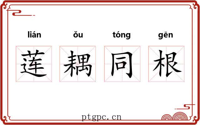 莲耦同根 莲耦同根