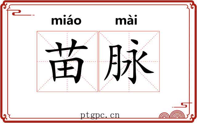苗脉 苗脉