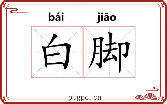 白脚