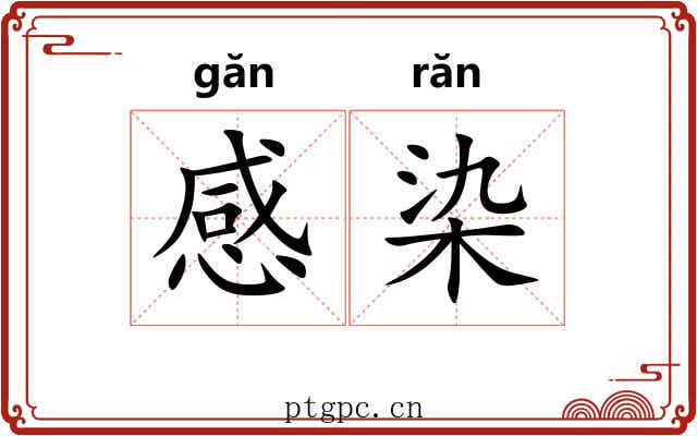感染 感染