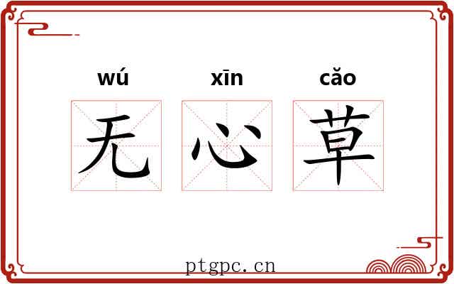 无心草 无心草