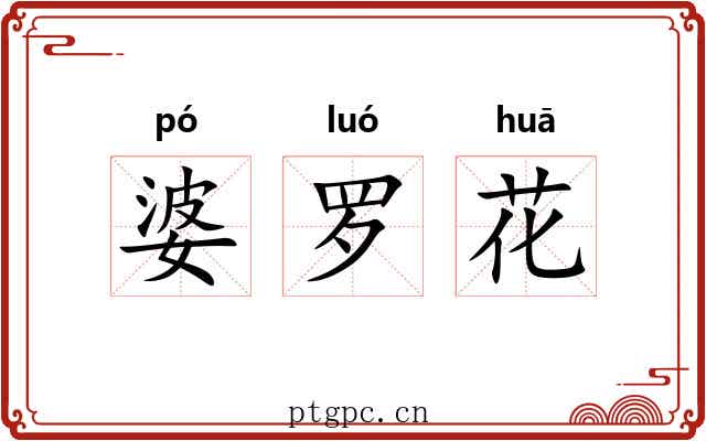 婆罗花 婆罗花