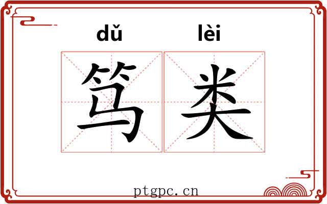 笃类