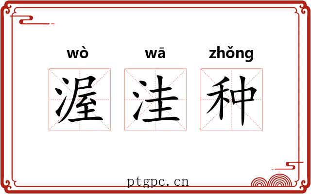 渥洼种