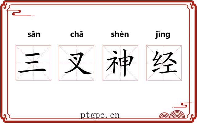 三叉神经