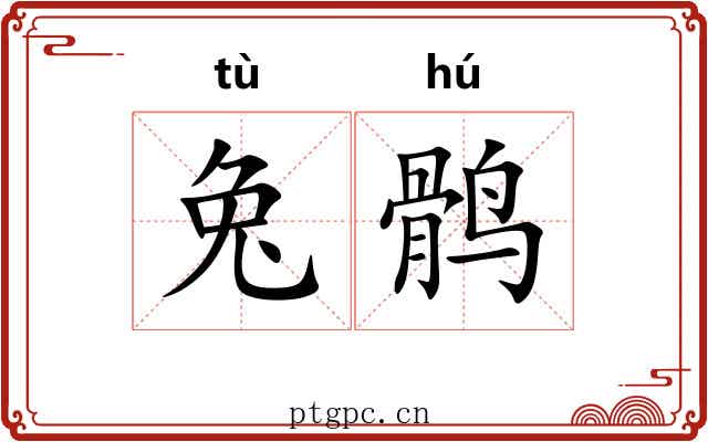 兔鹘
