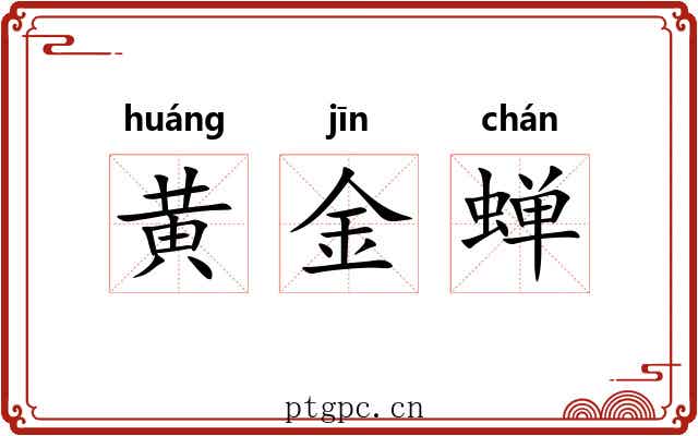 黄金蝉 黄金蝉