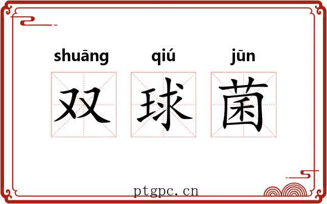 双球菌 双球菌
