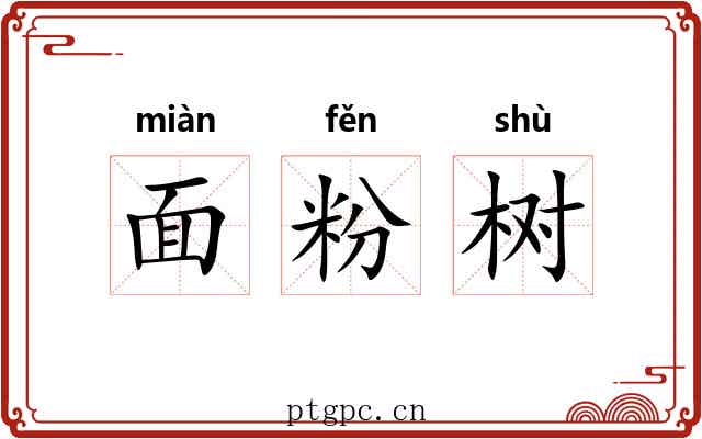 面粉树 面粉树