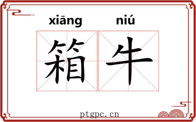 箱牛