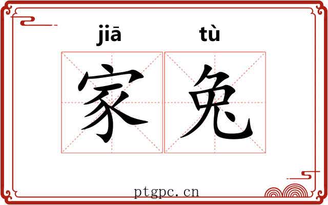 家兔 家兔
