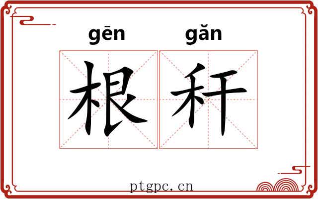 根秆 根秆