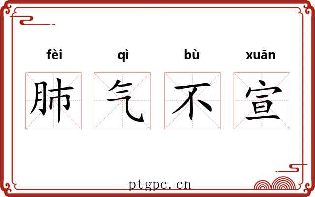 肺气不宣 肺气不宣
