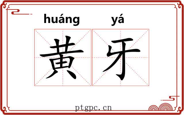 黄牙