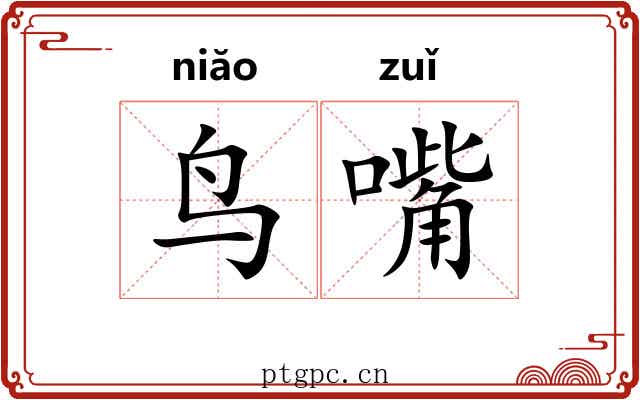 鸟嘴