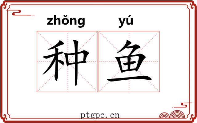 种鱼 种鱼