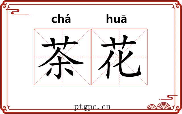 茶花 茶花
