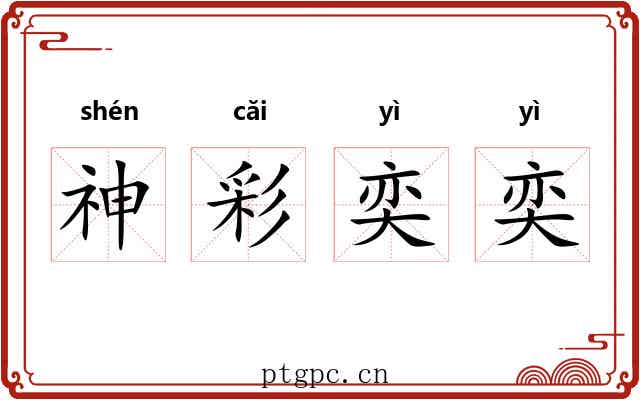 神彩奕奕 神彩奕奕