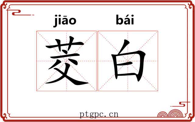 茭白 茭白