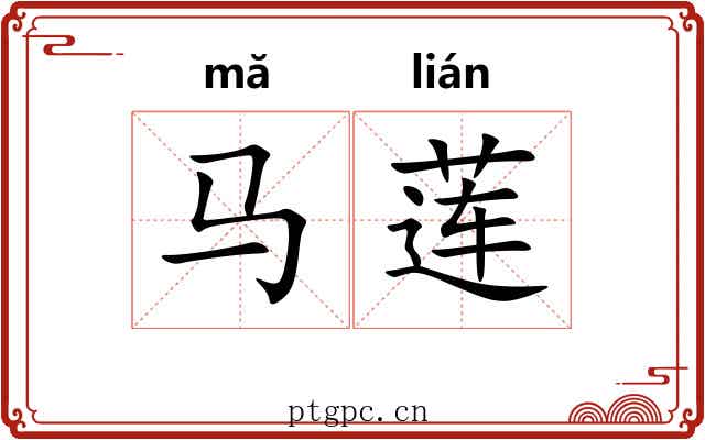 马莲