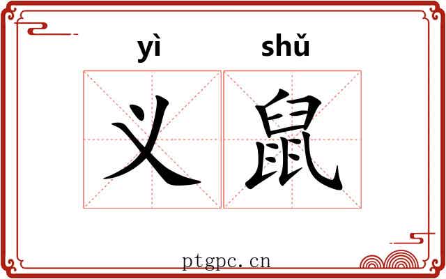 义鼠