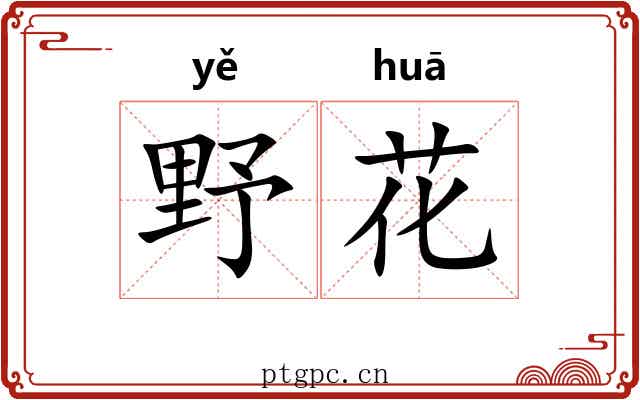 野花 野花