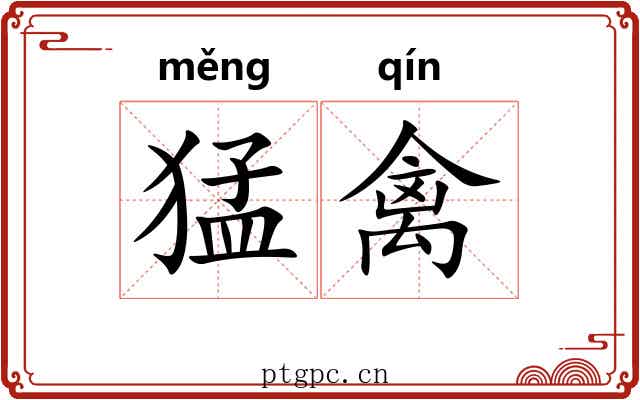 猛禽