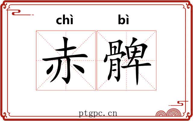 赤髀