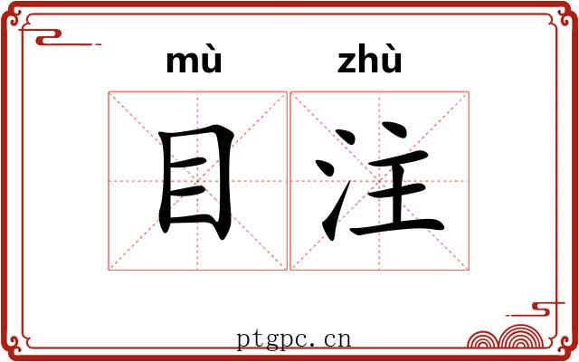 目注