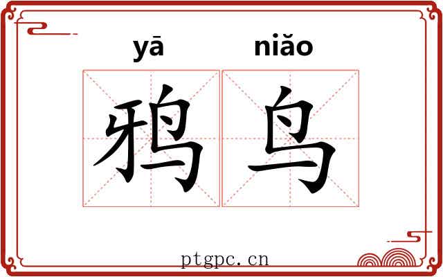 鸦鸟