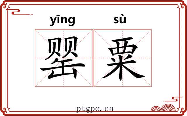 罂粟