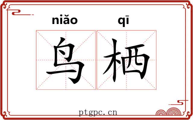 鸟栖