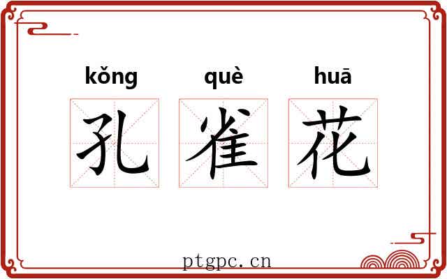 孔雀花 孔雀花