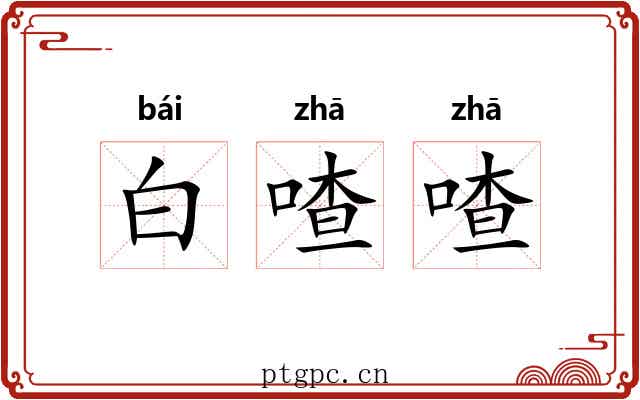 白喳喳 白喳喳