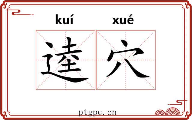 逵穴