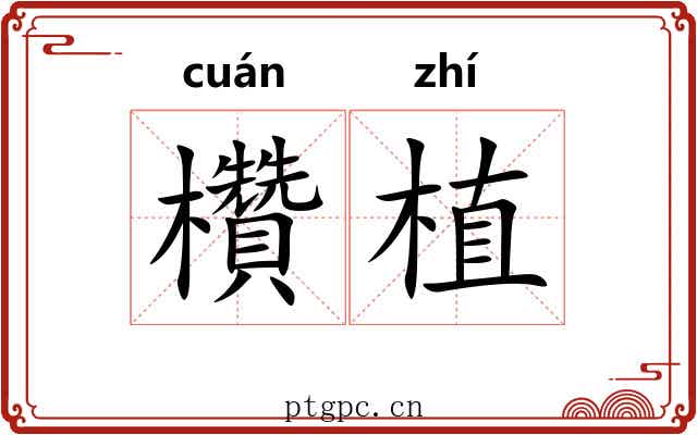 欑植