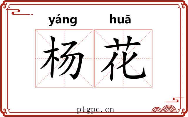杨花 杨花