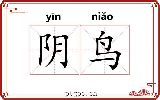 阴鸟 阴鸟