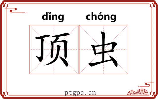顶虫 顶虫