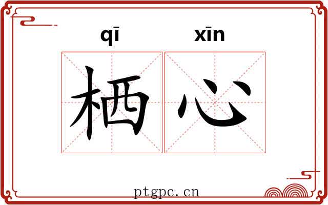 栖心