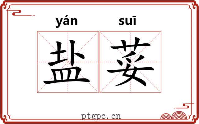 盐荽