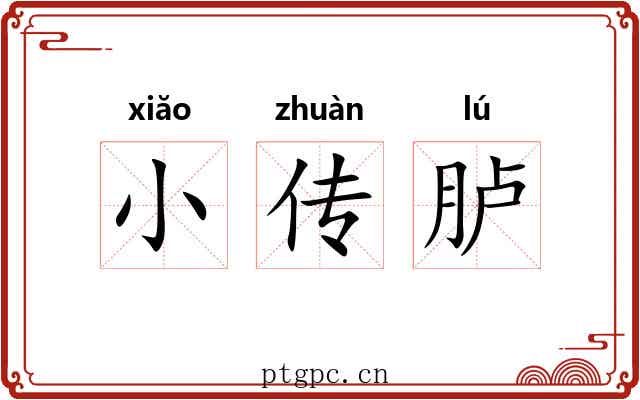 小传胪
