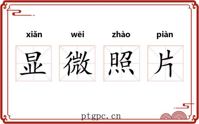 显微照片