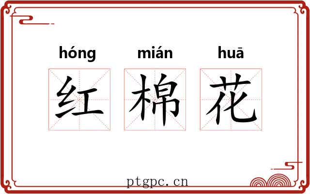 红棉花 红棉花