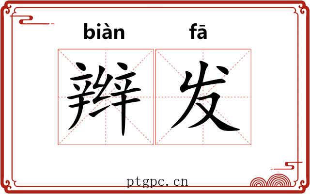 辫发 辫发