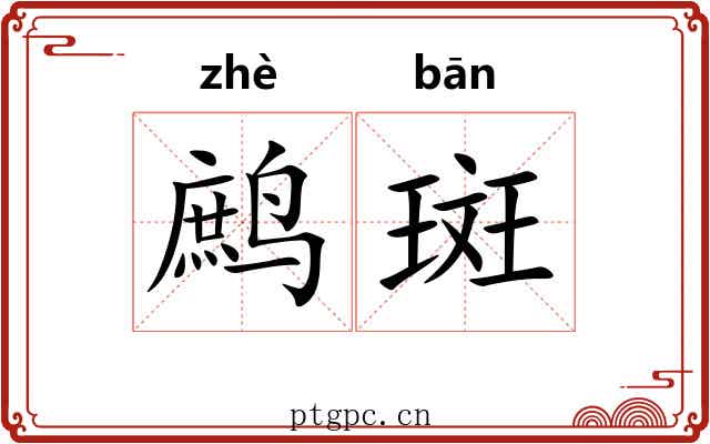鹧斑