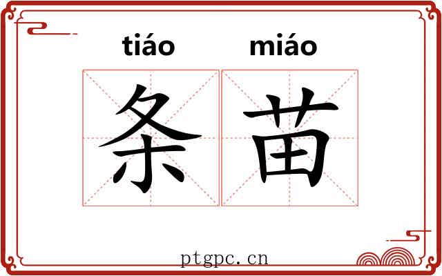 条苗 条苗