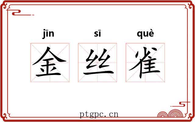 金丝雀 金丝雀